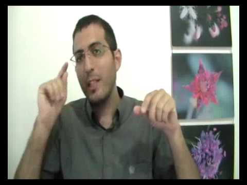 לחץ לצפייה